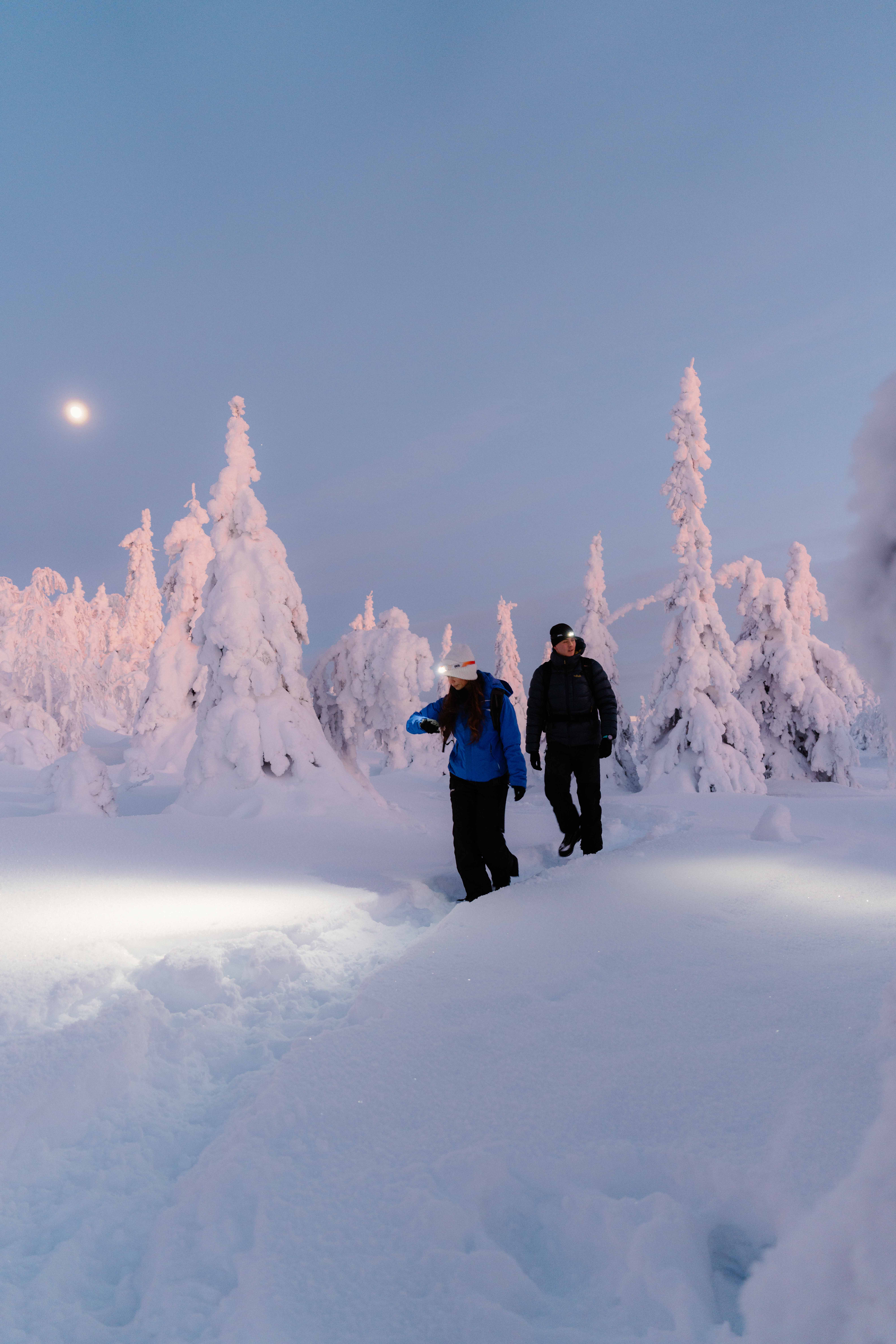 Two people walk through a snowy forest.